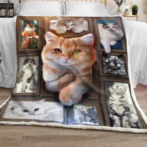 3d huge cat blanket free shipping blanket catcreators 519024