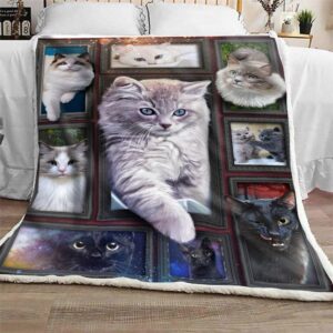 3d huge cat blanket free shipping blanket catcreators 567062
