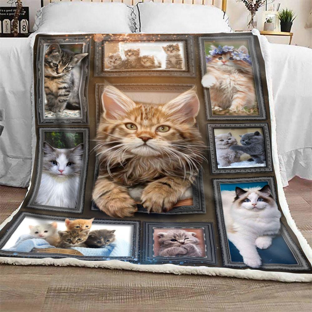 premium 3d cat blanket free shipping catcreators 175280 premium 3d cat blanket free shipping catcreators 175280